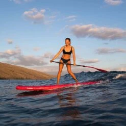 Fanatic Paddle Clip Spare Double Screw 2024