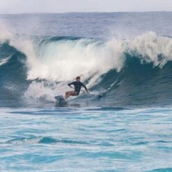 Fanatic ProWave LTD Paddle Board 2024