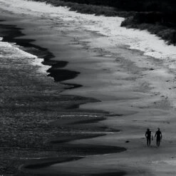 ION SUP Core Leash Coiled Knee 2024